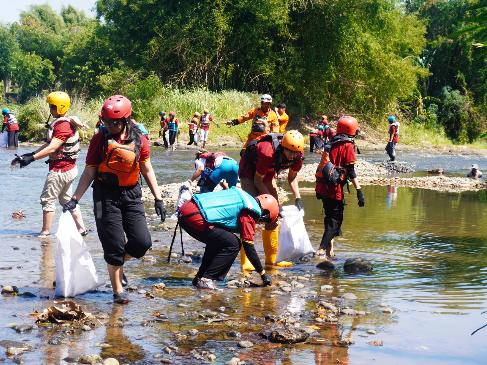 Mengembalikan Ekosistem Sungai Ciliwung