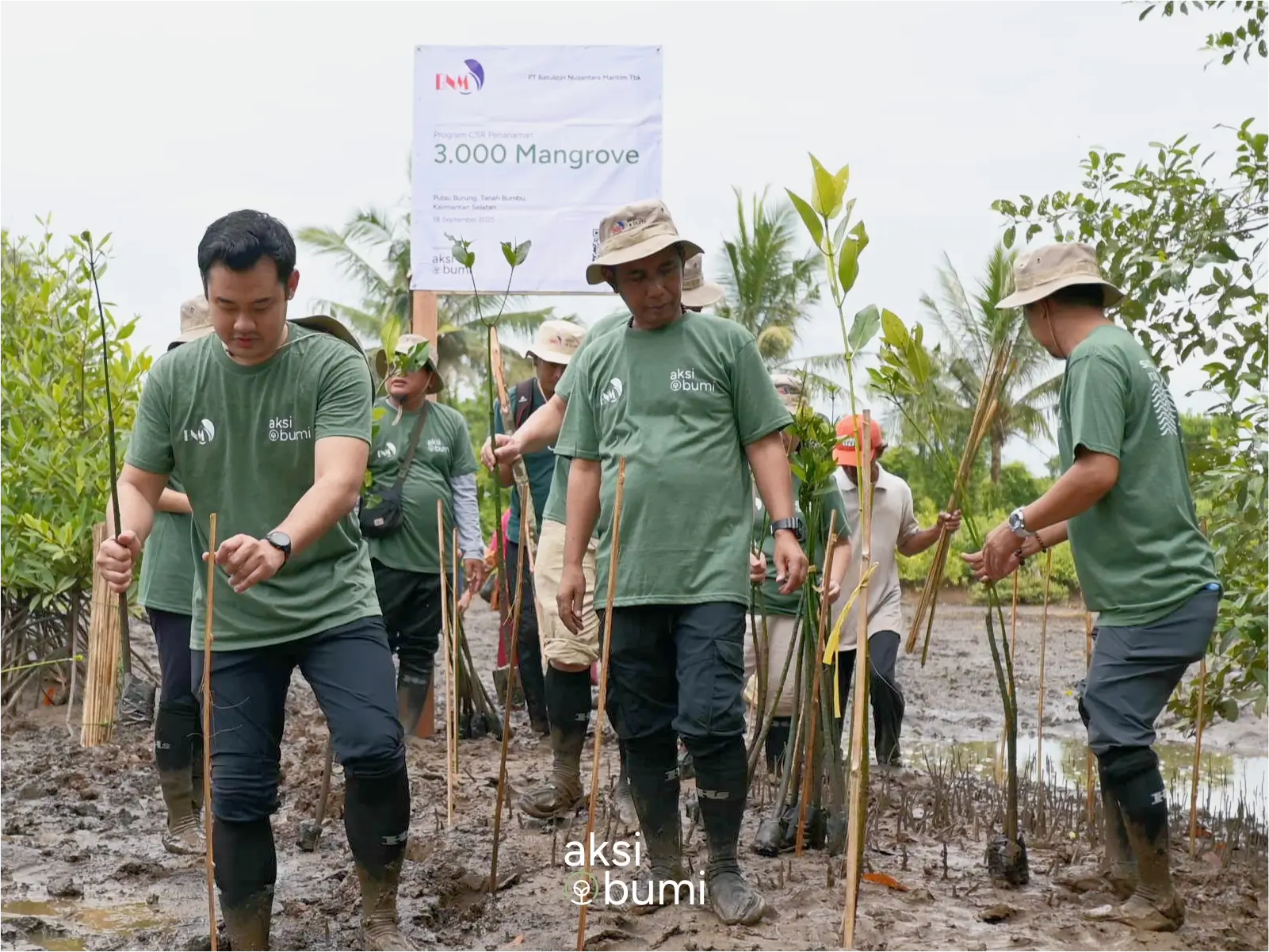 3.000 Mangrove PT Batulicin Nusantara Maritim Tbk untuk Lestarikan Pulau Burung