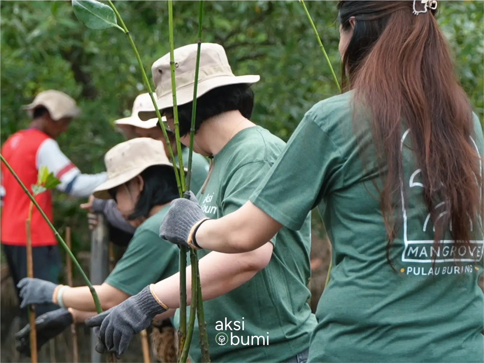 Melestarikan Pulau Burung, PT Mineral Sumberdaya Mandiri Tbk Menanam 3.000 Mangrove