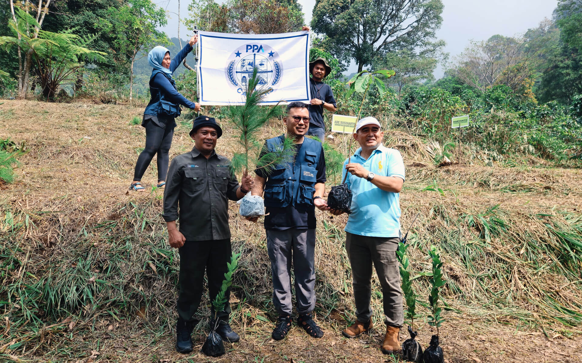 Perusahaan Pengelola Aset Melawan Deforestasi melalui Aksi Penanaman 580 Pohon