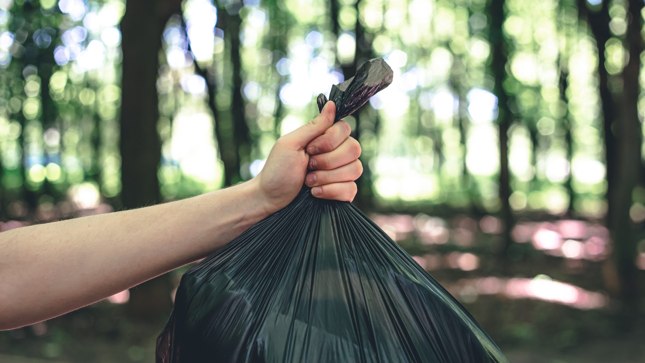 Sampah Organik dan Non-Organik