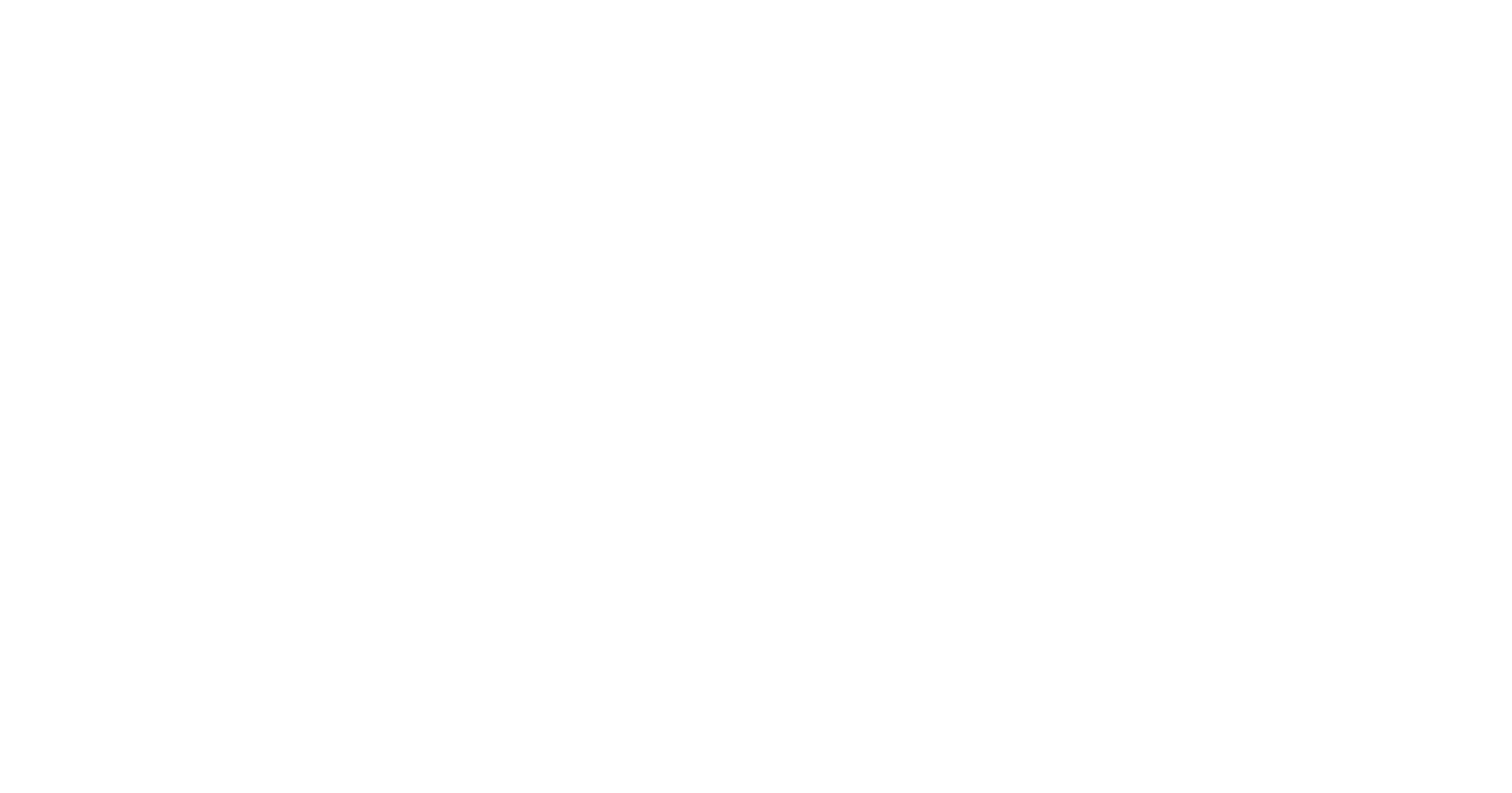 Aksi Bumi